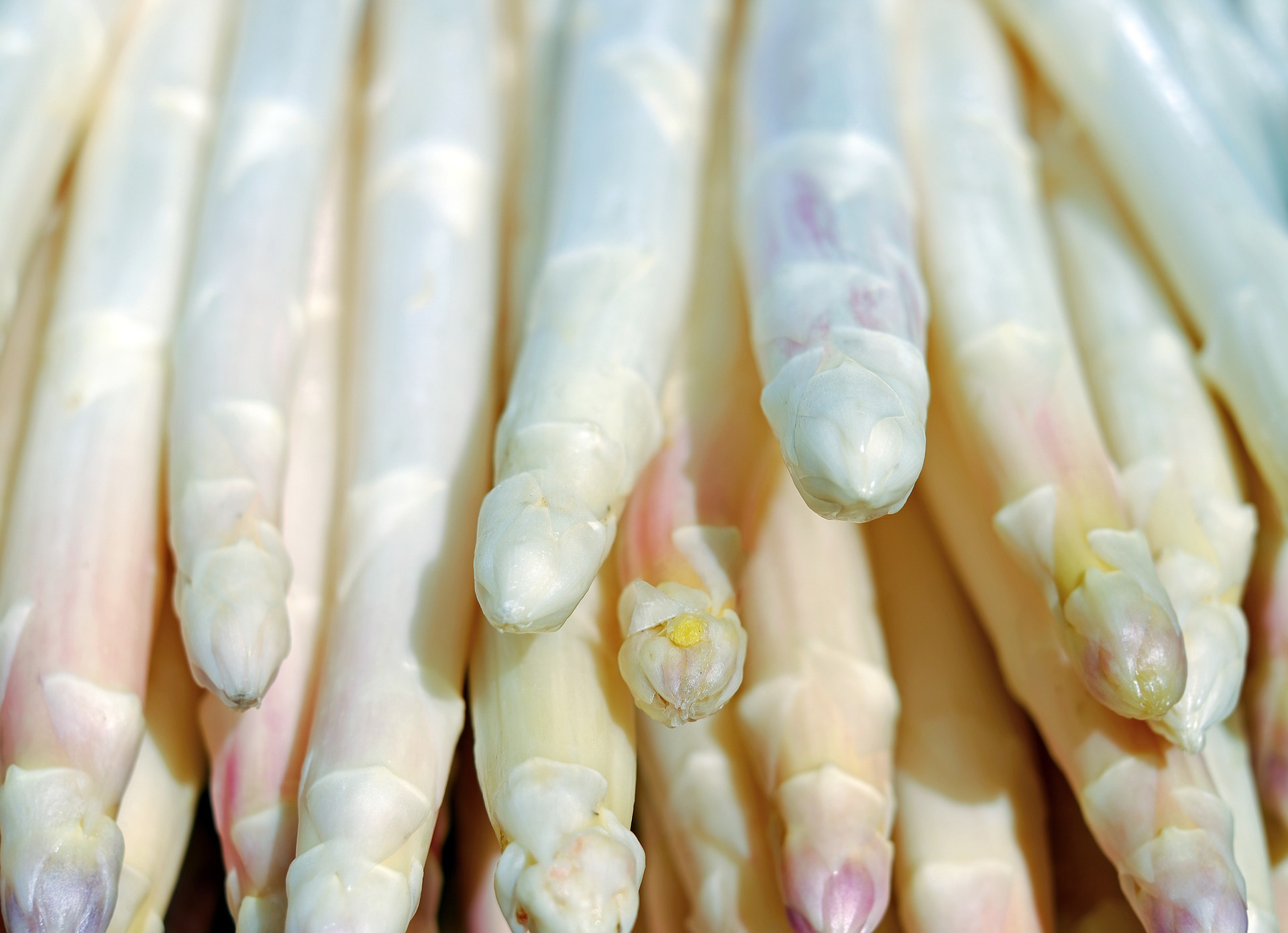 Aspergemenu woensdag 8 mei